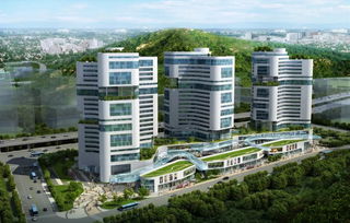 瓯海重磅举措助推核心区建设与饭店盛启新程